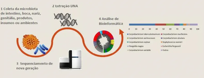 Imagem ilustrativa de Análise de Metagenomica de Microbiota