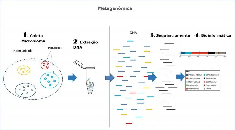 Empresa de sequenciamento de genoma