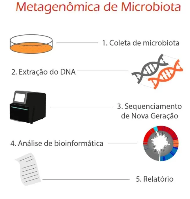 Imagem ilustrativa de Identificação de fungos e bactérias para laboratórios