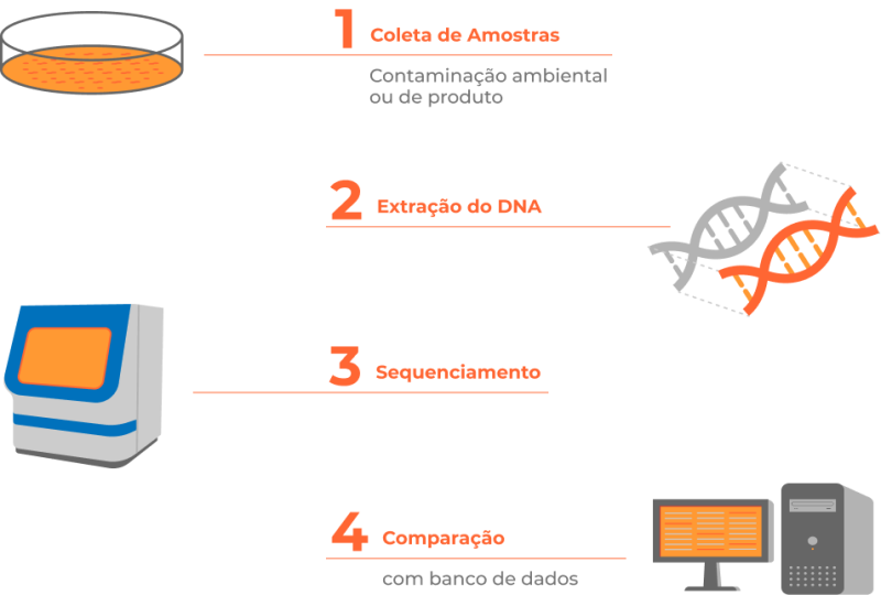 Genotipagem Molecular